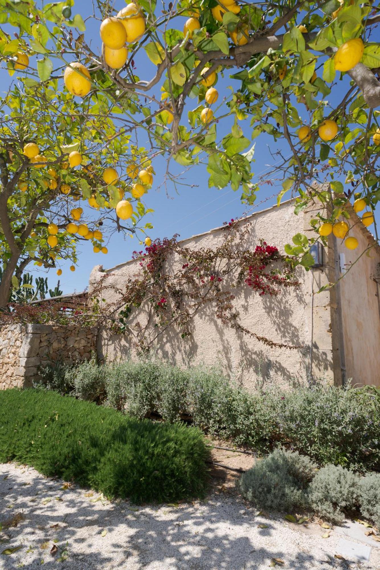 Baglio Siciliamo Country House Lido di Noto Esterno foto